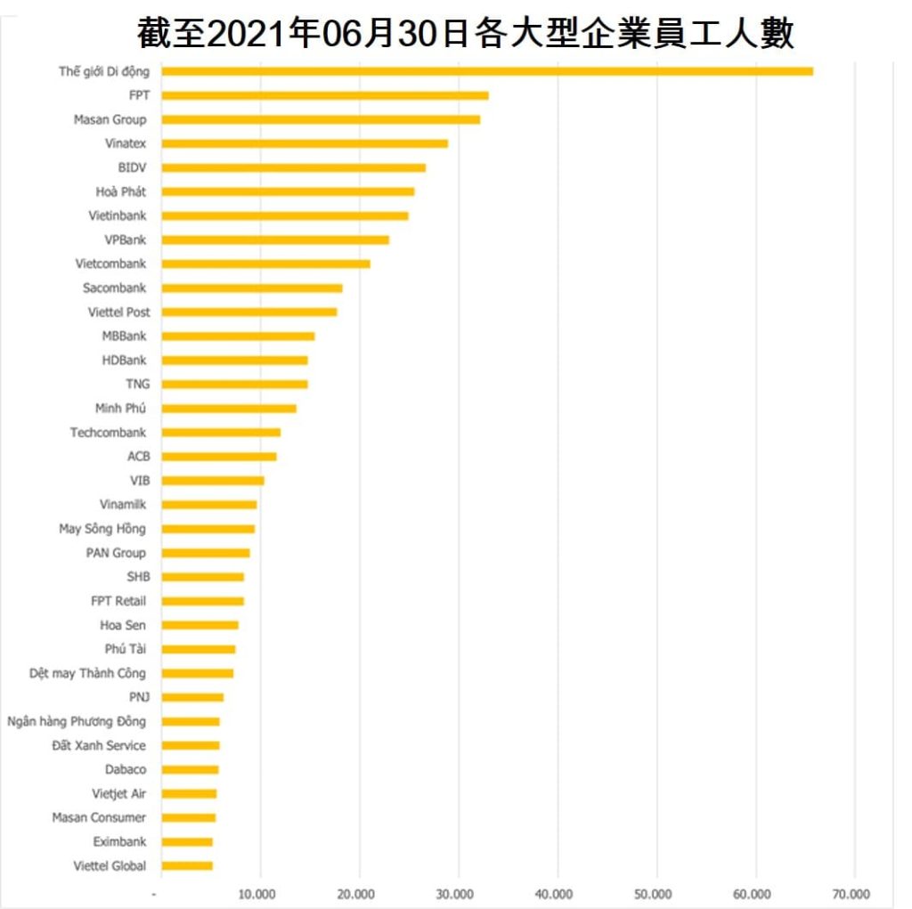 越南各知名上市公司員工人數變動劇烈 越南財經 越南新聞 越南知名上市公司人事規模 越南公司人事成本