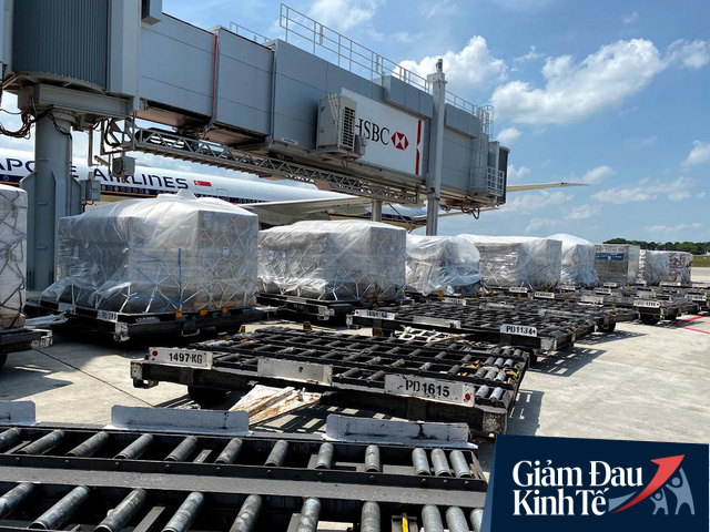 越南航空轉向載貨