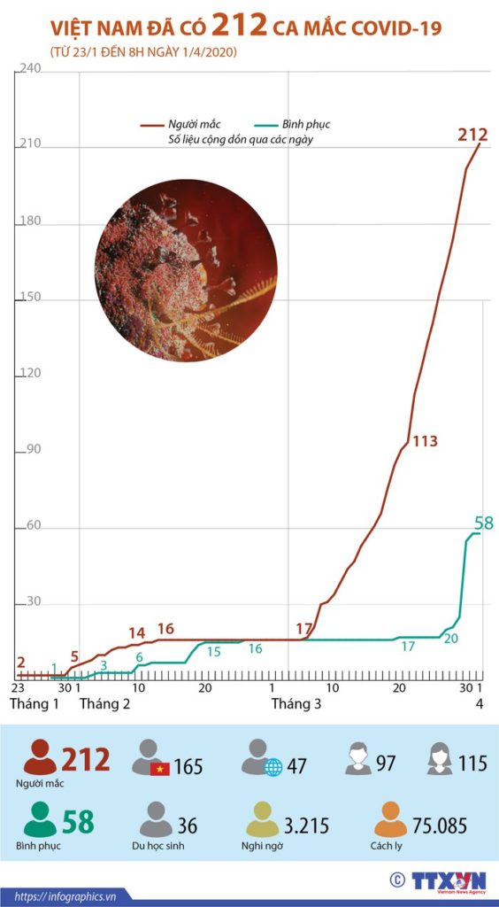 COVID-19 新冠病毒