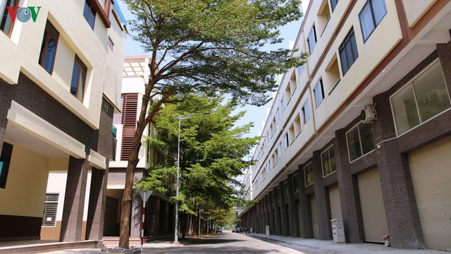 平陽新市鎮上百間別墅被廢棄