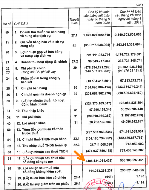 Dat Xanh集團上半年淨虧損4千多億越盾