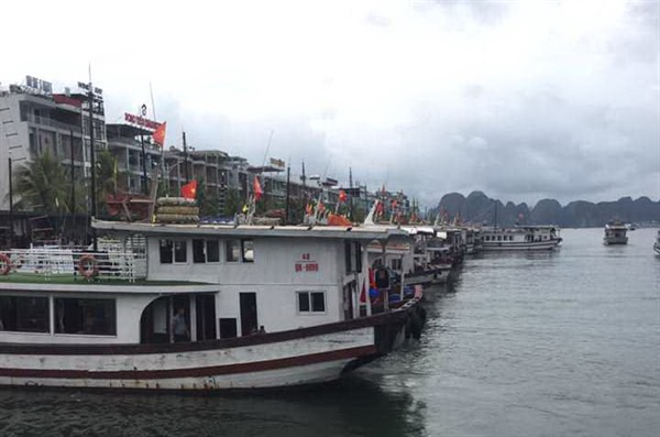 超過100家經營下龍灣遊輪業者申請暫停營業