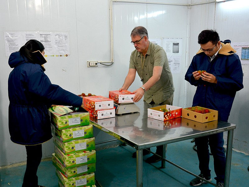 越南水果出口美國管道被“堵塞”