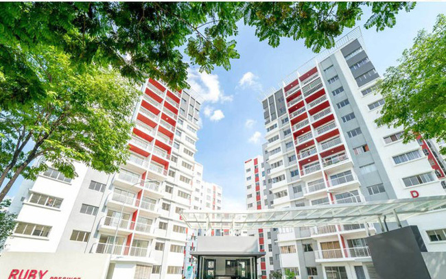 Gamuda Land Vietnam積欠5千億越盾巨額稅款 越南財經 越南新聞