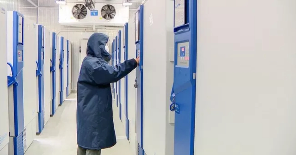 首批超過11萬劑Covid-19疫苗運抵越南 越南財經 越南新聞