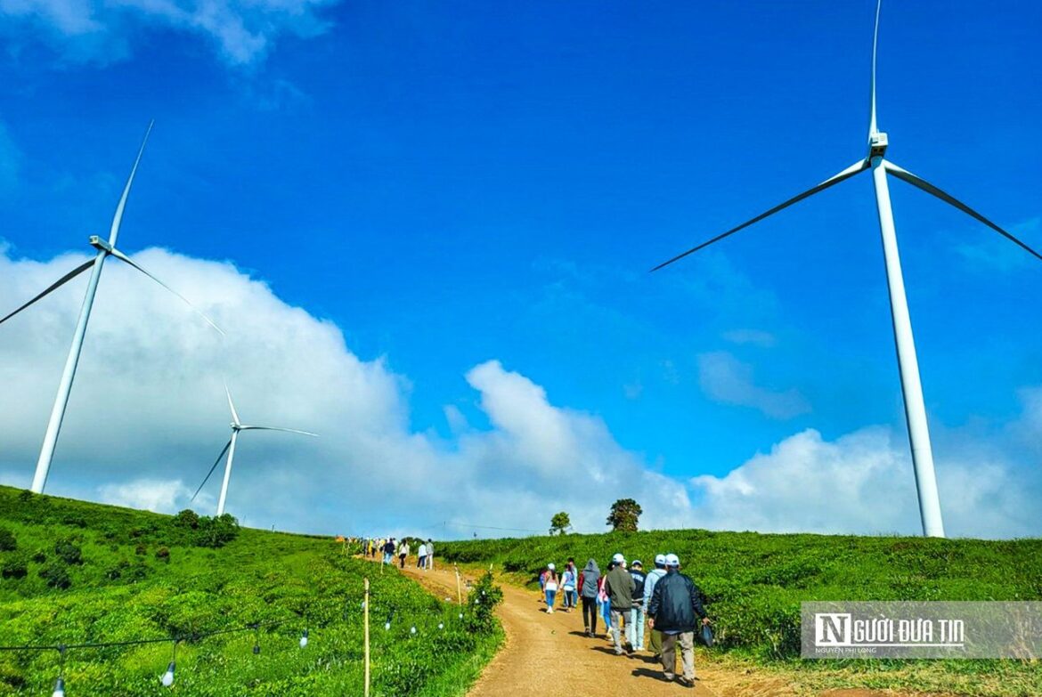 越南風力發電市場