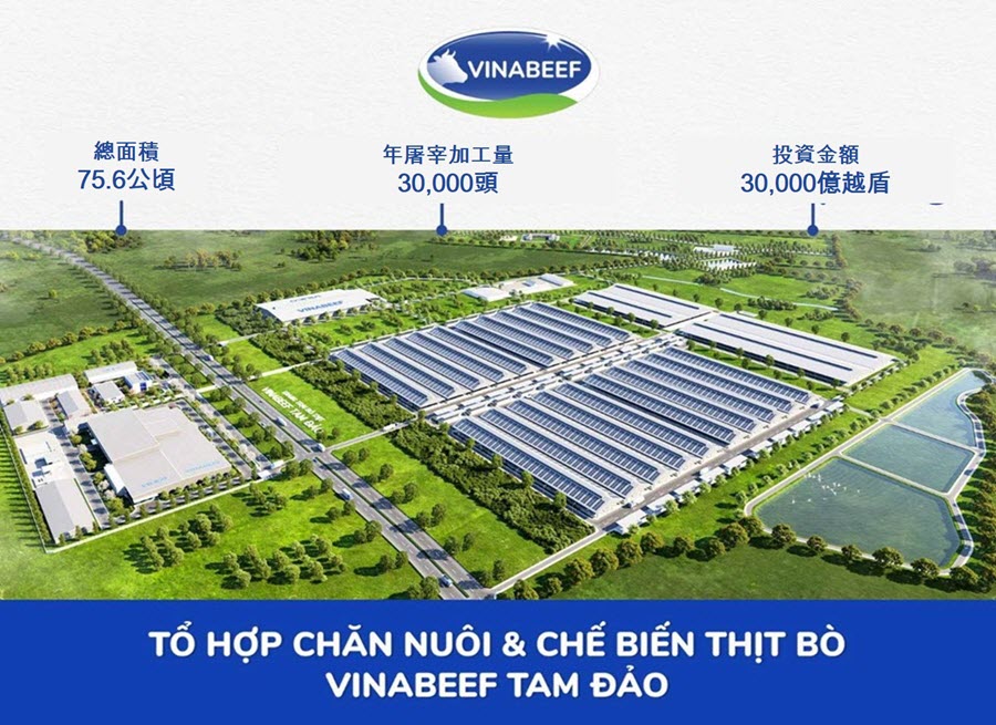 Vinamilk與日本双日公司合作建造肉牛飼養場 越南乳製品產業 越南商機 越南牛肉市場 越南乳製品市場