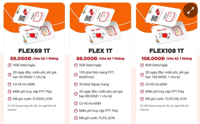 FPT Retail正式進軍虛擬行動網路服務市場 越南電信業者 越南電信市場 越南商機 越南房地產